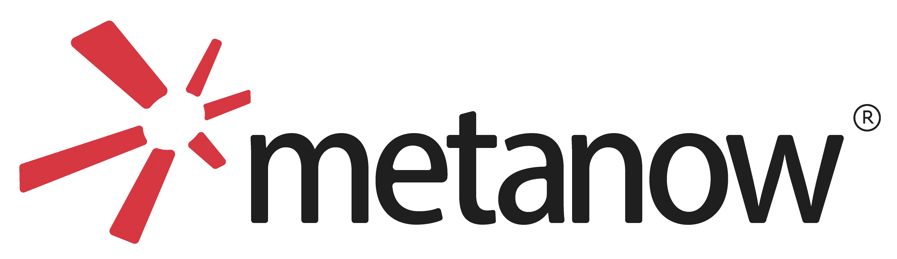 Metanow Logo